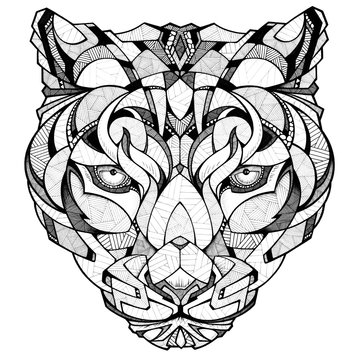 Leopard head, illustration, black and white 