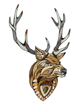 Deer head, illustartion 