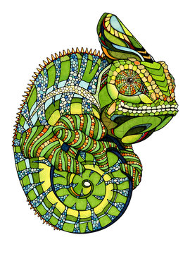 Chameleon, illustration 