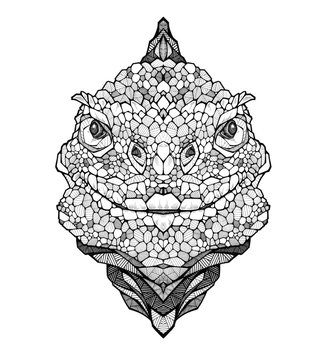 Lizard head, illustration, black and white 