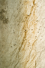 Concrete surface with rich and various texture