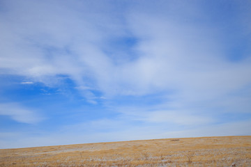 Fototapeta premium daytime blue cloud sky