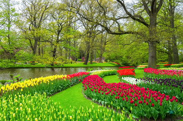 Beautiful spring flowers near pond in Keukenhof park in Netherlands (Holland)
