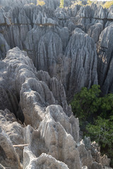 View from Tsingy De Bemaraha area, Madagascar. Limestoen needles forest formed by vertcal and horisontal erosion. 