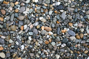 rocks