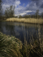 landscape flanders belgium overmere