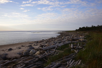 Bay of discarded wooden beam