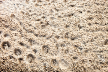 Sand surface after the rain