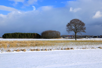 Krajobraz wiejski zimą, wioska, domy jednorodzinne. - obrazy, fototapety, plakaty