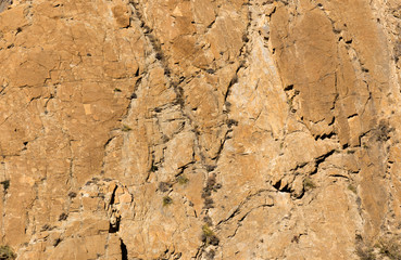 Stone texture closeup background