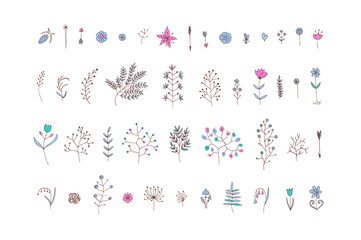 Hand Drawn vintage floral elements. Vector. Isolated.The set of hand-drawn vector decorative elements for your design. Leaves, branches, floral elements. Wedding, birthday, Valentine's day.