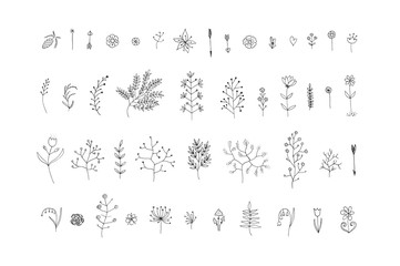 Fototapeta na wymiar Hand Drawn vintage floral elements. Vector. Isolated.The set of hand-drawn vector decorative elements for your design. Leaves, branches, floral elements. Wedding, birthday, Valentine's day.