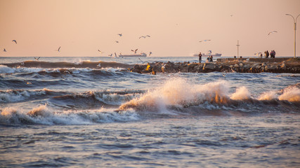 storm, gulls on the coast of the Black Sea, the river Rioni, Pot