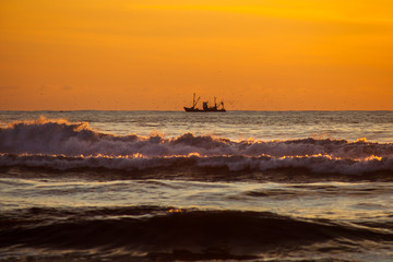 seiner on a Black Sea, Poti, Georgia