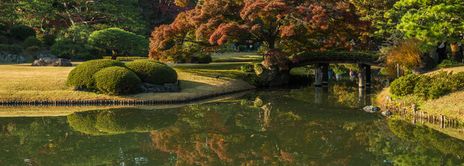 Fototapeta na wymiar Japanese garden in Tokyo