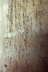 Fototapeta premium texture