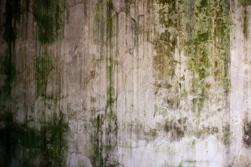 Obraz premium texture