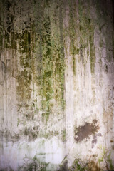 Obraz premium texture