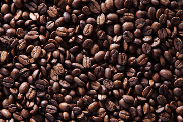roasted coffee bean