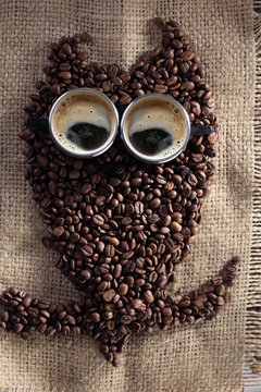 owl coffee