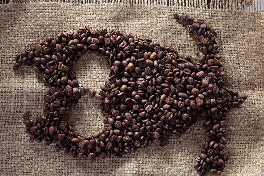 owl coffee
