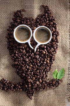 owl coffee