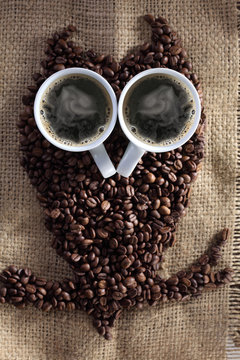 owl coffee