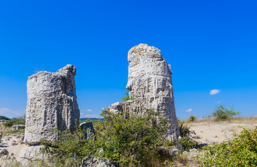 The natural phenomenon Pobiti Kamani, known as The Stone Forest. Bulgaria