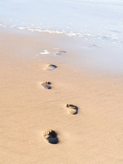 Fototapeta na wymiar Footprints going into the sea
