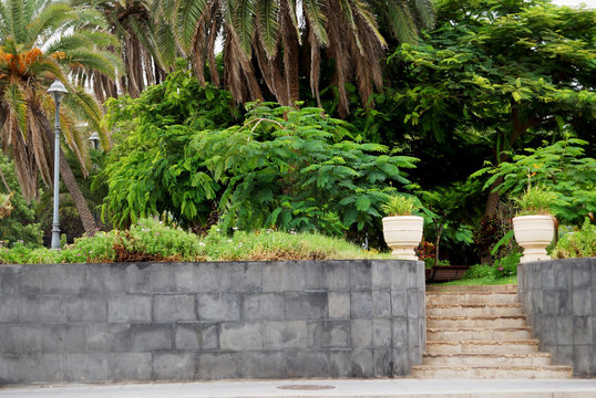 street scene with plants in the spa town