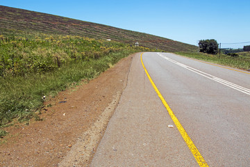 Curving Ashphalt Road with Yellow and White lines