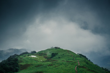 Nature in paithalmala Kerala