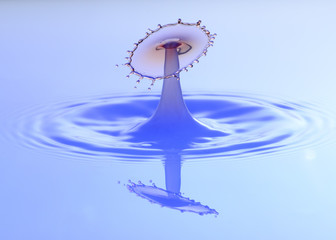 A water drop collision in blue and red