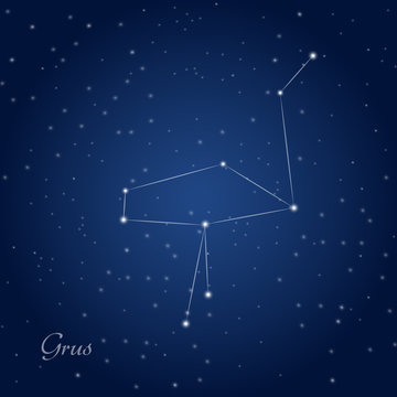 Grus, crane constellation at starry night sky