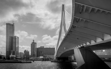 Crédence de cuisine en verre imprimé Pont Érasme Pont Érasme de Rotterdam