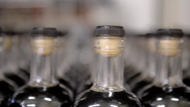Rows of glass bottles filled with maple syrup at a bottling plant ready for distribution.