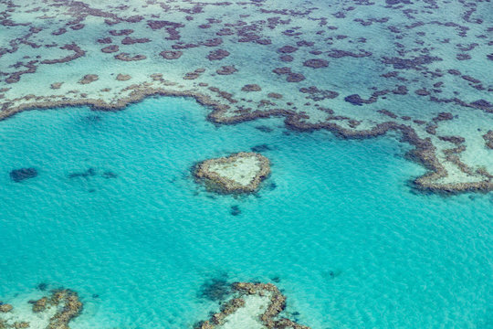 le coeur de la grande barri&egrave;re de corail