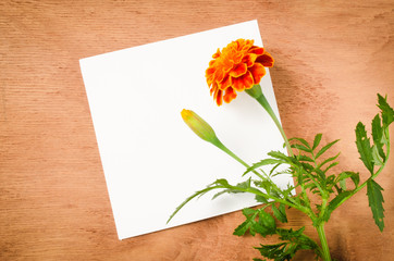 Empty Paper Sheet With Flowers on Rustic Wooden Background.