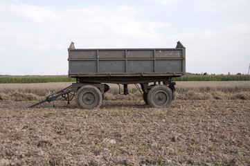 Combine harvesting crops