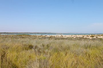 Fototapeta na wymiar Parque Natural de las Lagunas de La Mata y Torrevieja