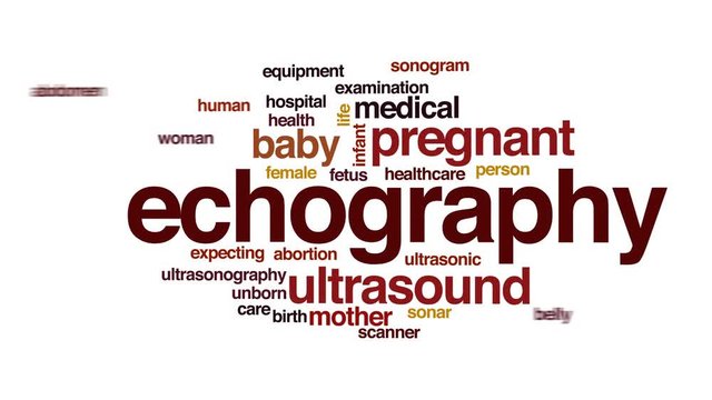 Echography animated word cloud.
