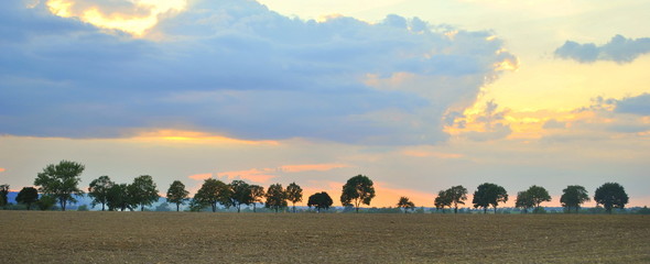 Naklejka premium Drzwa na horyzoncie na tle zachodzącego słońca