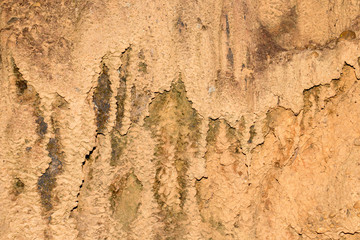 Fototapeta premium rock texture background from natural or park
