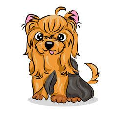 cartoon cute vector yorkshire terrier at the white background