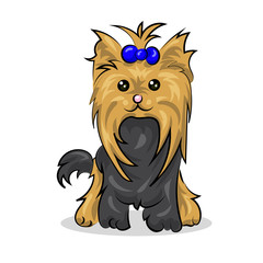 cartoon cute vector yorkshire terrier at the white background