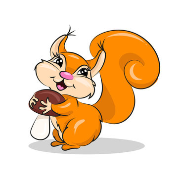 cartoon cute vector squirrel with mushroom at the white backgrou