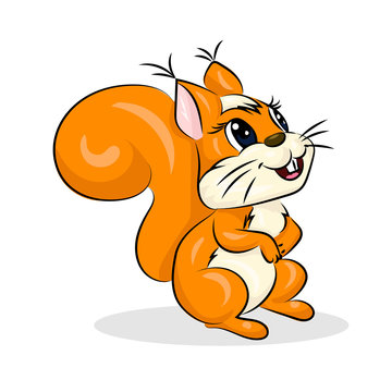 cartoon cute vector squirrel at the white background