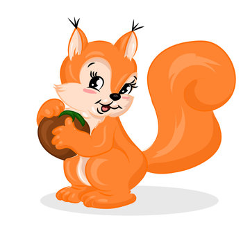 cartoon cute vector squirrel with nut at the white background