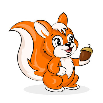 cartoon cute vector squirrel with acorn at the white background