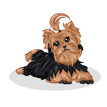 cartoon cute vector yorkshire terrier at the white background
